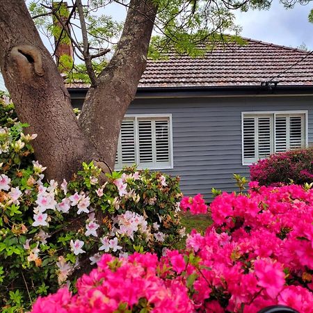 La Villette Sleeps 9 Fireplace Bbq Pet Friendly Katoomba Ngoại thất bức ảnh